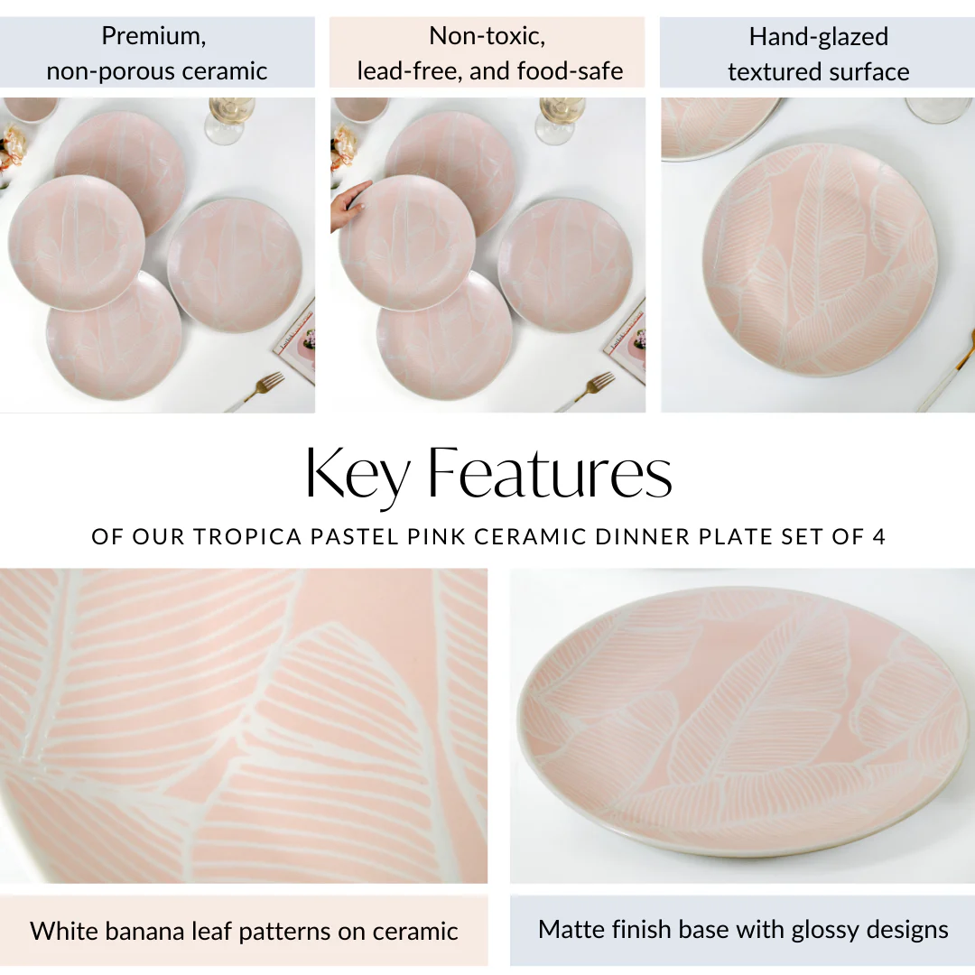 Tropica Pastel Pink Ceramic Dinner Plate Set Of 4 10 Inch - Image 5